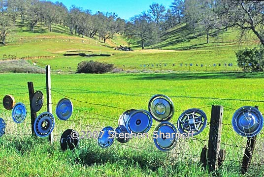 hubcap ranch 2 graphic