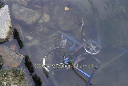 bike in water graphic
