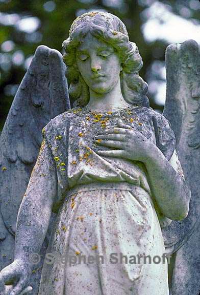 Angel statue with lichens