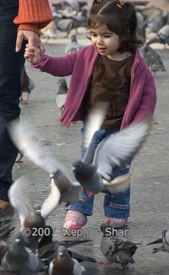 girl with pigeons graphic