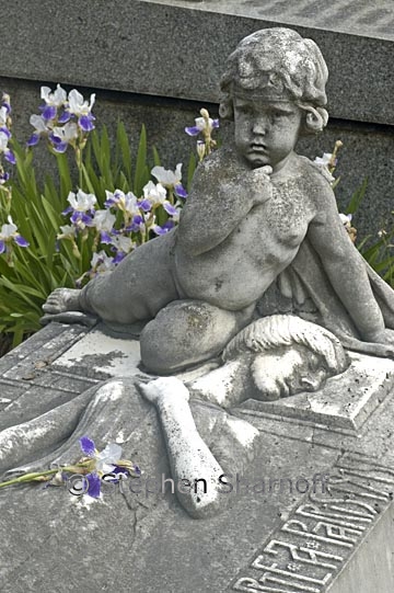 swiecinska tomb graphic