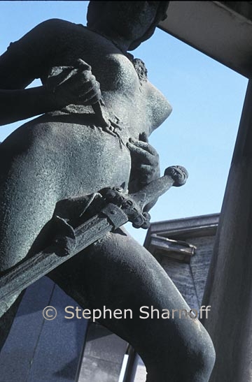 woman warrier graphic