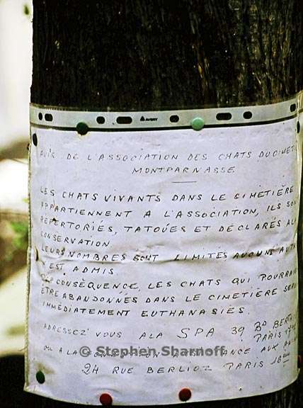 paris cemetery graphic 172