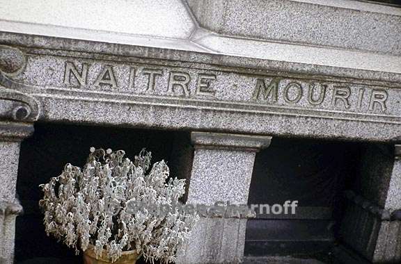 paris cemetery graphic 19