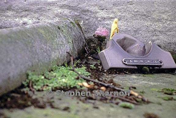 paris cemetery graphic 73