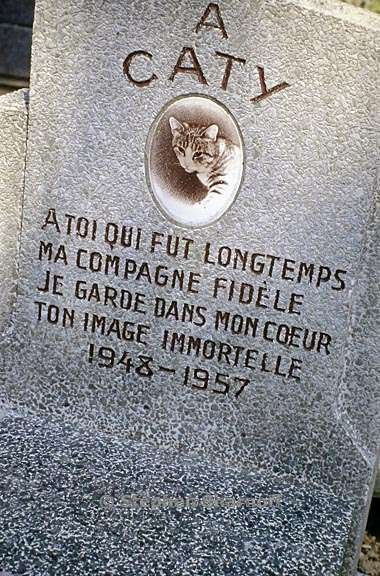paris cemetery graphic 98
