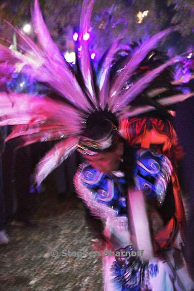 dia de los muertos 76 graphic