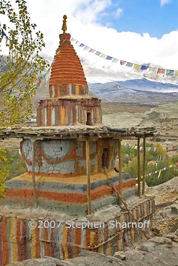 mustang chorten gehling graphic