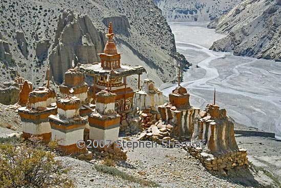 mustang chortens chele graphic