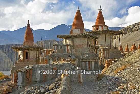 mustang chortens tangge graphic