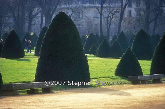 paris garden graphic