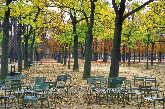 paris park autumn graphic