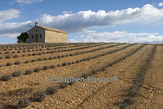 provence entrevennes chapel graphic