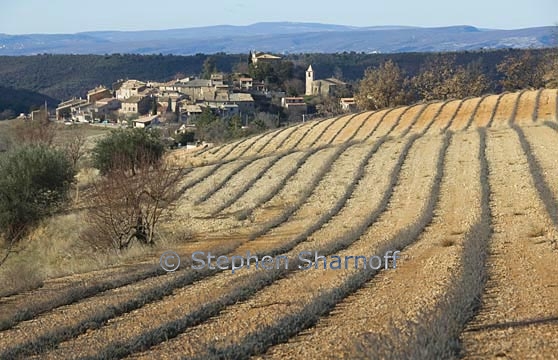 provence entrevennes field 1 graphic