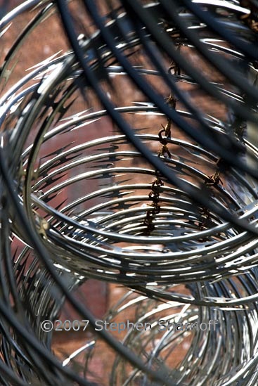 razor wire 1 graphic