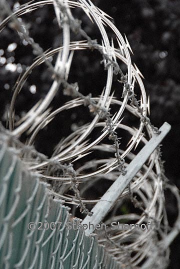 razor wire 2 graphic