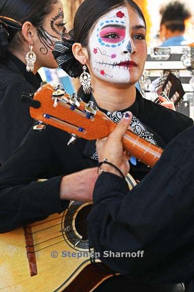 dia de los muertos 13 graphic