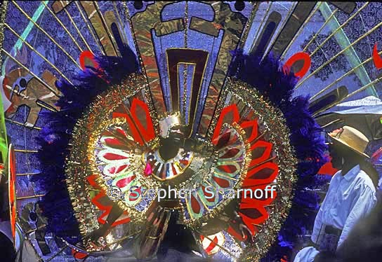 carnival reveller graphic