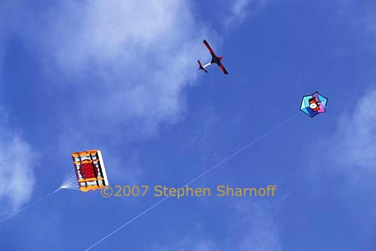 kites 2 graphic