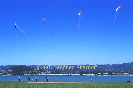 kites and people 5 graphic
