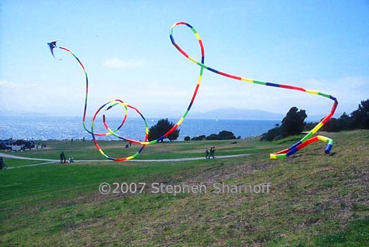 longtail kite 2 graphic