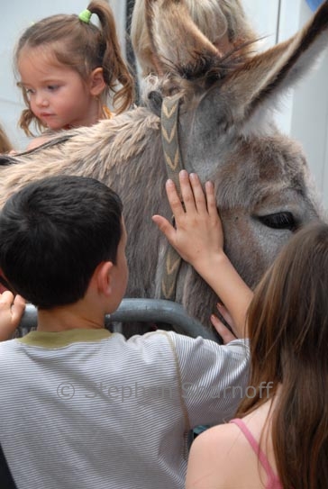 petting donkey graphic