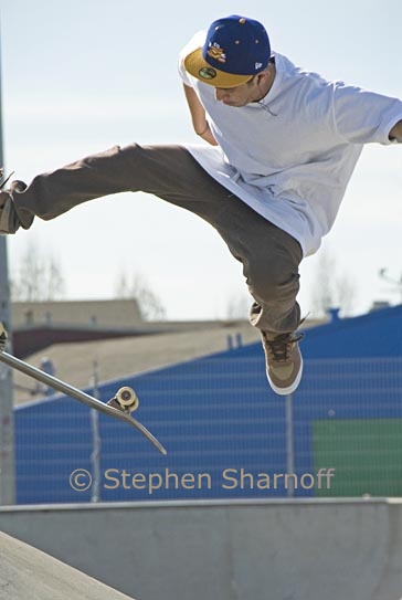 skateboard 12 graphic