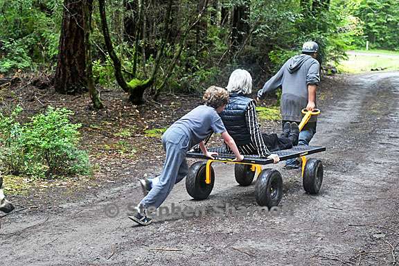 yardcart graphic