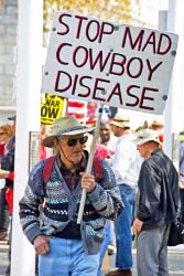 political thumbnail graphic