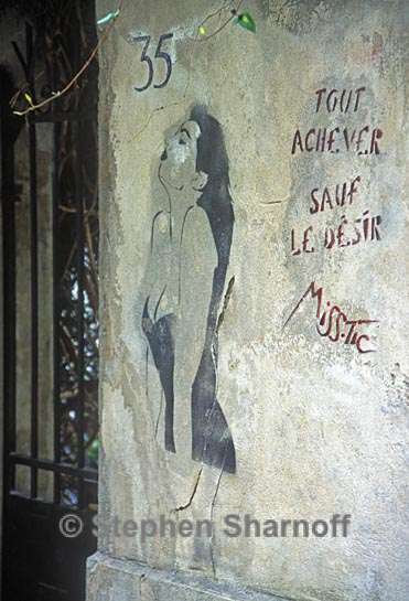 paris street art 8 graphic