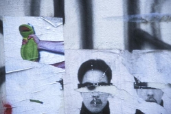 paris 5 thumbnail graphic