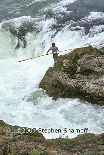 salmon fisherman graphic