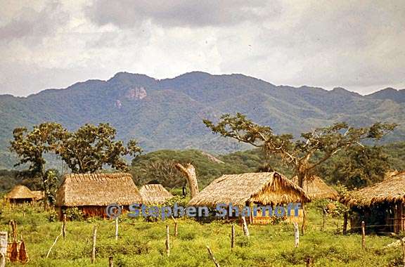 mexican houses graphic