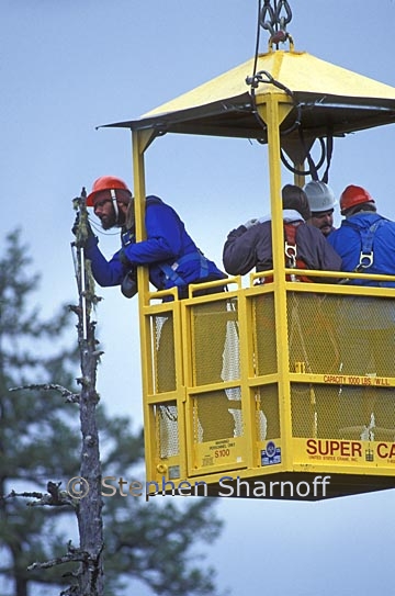 canopy crane 3 graphic