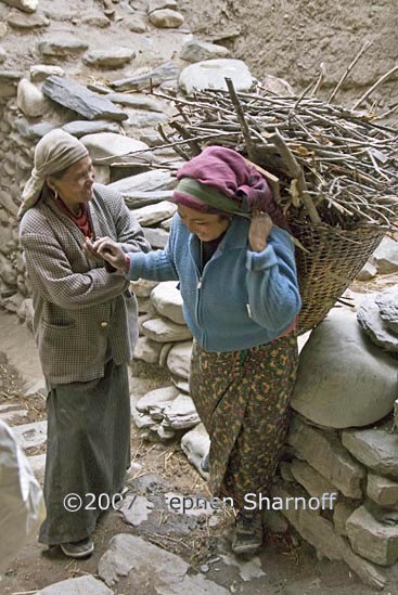 woman basket graphic