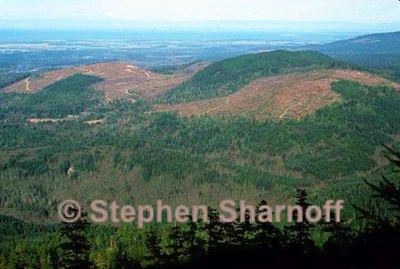 clearcuts washington 1 graphic