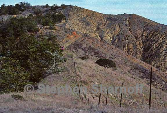 fenced hillside 1 graphic