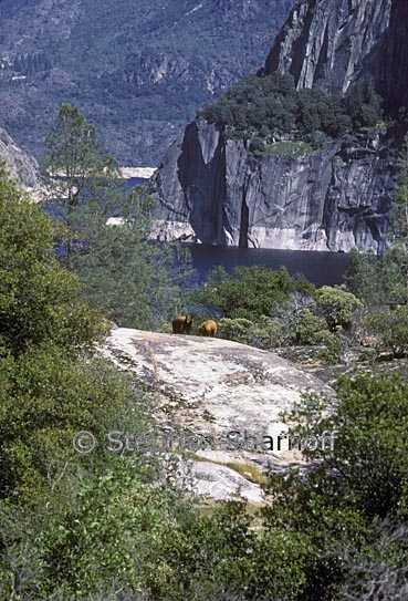 hetch hetchy 1 graphic