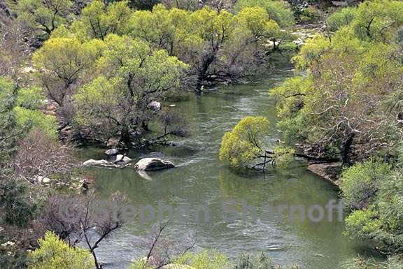 kern river 1 graphic