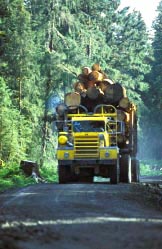 log truck thumbnail graphic