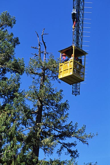 canopy crane 3 graphic