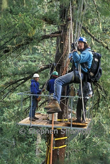 canopy traverse 2 graphic