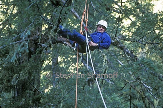 canopy traverse 3 graphic