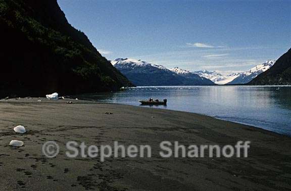 boat and glaciers graphic
