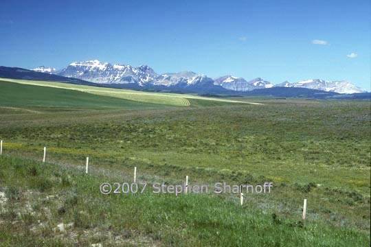 canadian prairie graphic