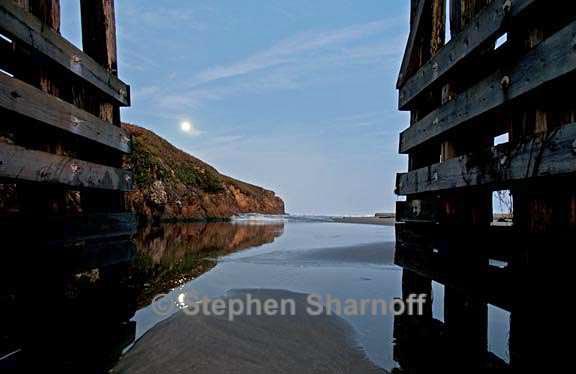 dawn pudding creek 2 graphic