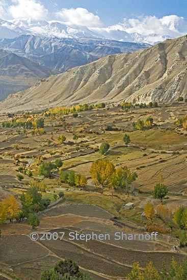 fields peaks gehling 1 graphic