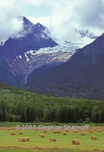 hay bales glacier graphic