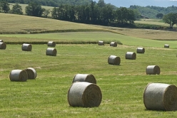 haybales 2 thumbnail graphic