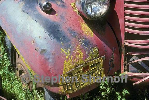 car with lichens 1 graphic